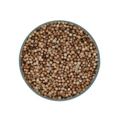 Authentic Flavour: Premium Coriander Seeds