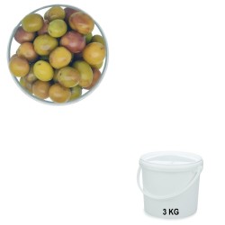 Grossanes olives, wholesale in 3 kg buckets