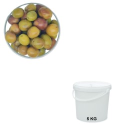 Olives Grossanes, vente en gros en seau de 5 kg.