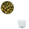 Olives Vertes MBC, vente en gros en seau de 3 kg.