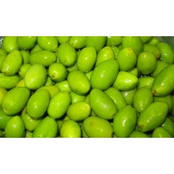 FRENCH PICHOLINES OLIVES 500 G / 1.1 LBS