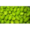 Picholine Green Olives from the Country by Maison Soler - Buy Online