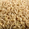 Riz de Camargue Long Complet Bio 500 g | Achetez en ligne maintenant