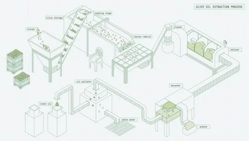 Processus de fabrication de l'huile d'olive