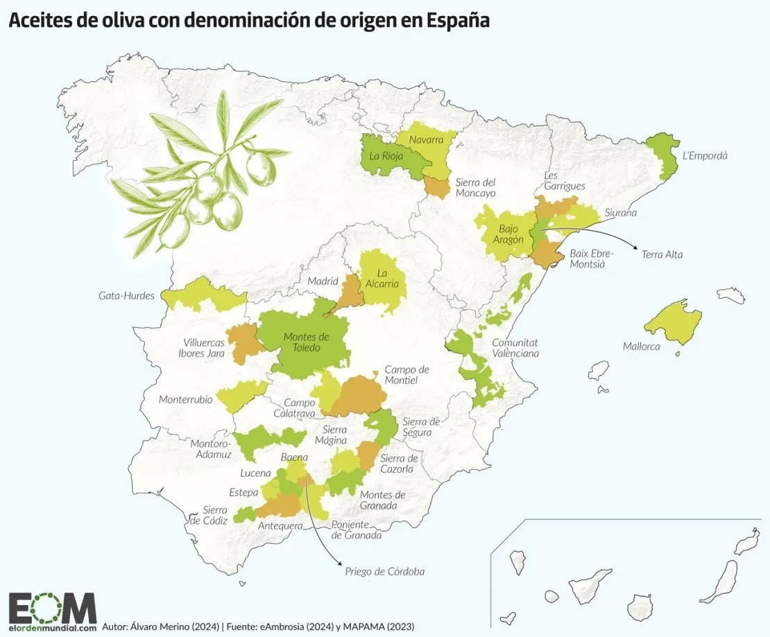 Les AOP DOP d'huile d'olive en Espagne